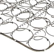 ��������� ���� �bonnel�