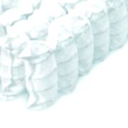 ����������� ��������� ���� TFK